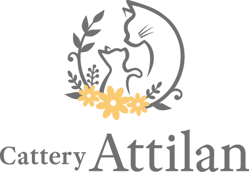 長野県上田市のキャッテリーAttilanのロゴ