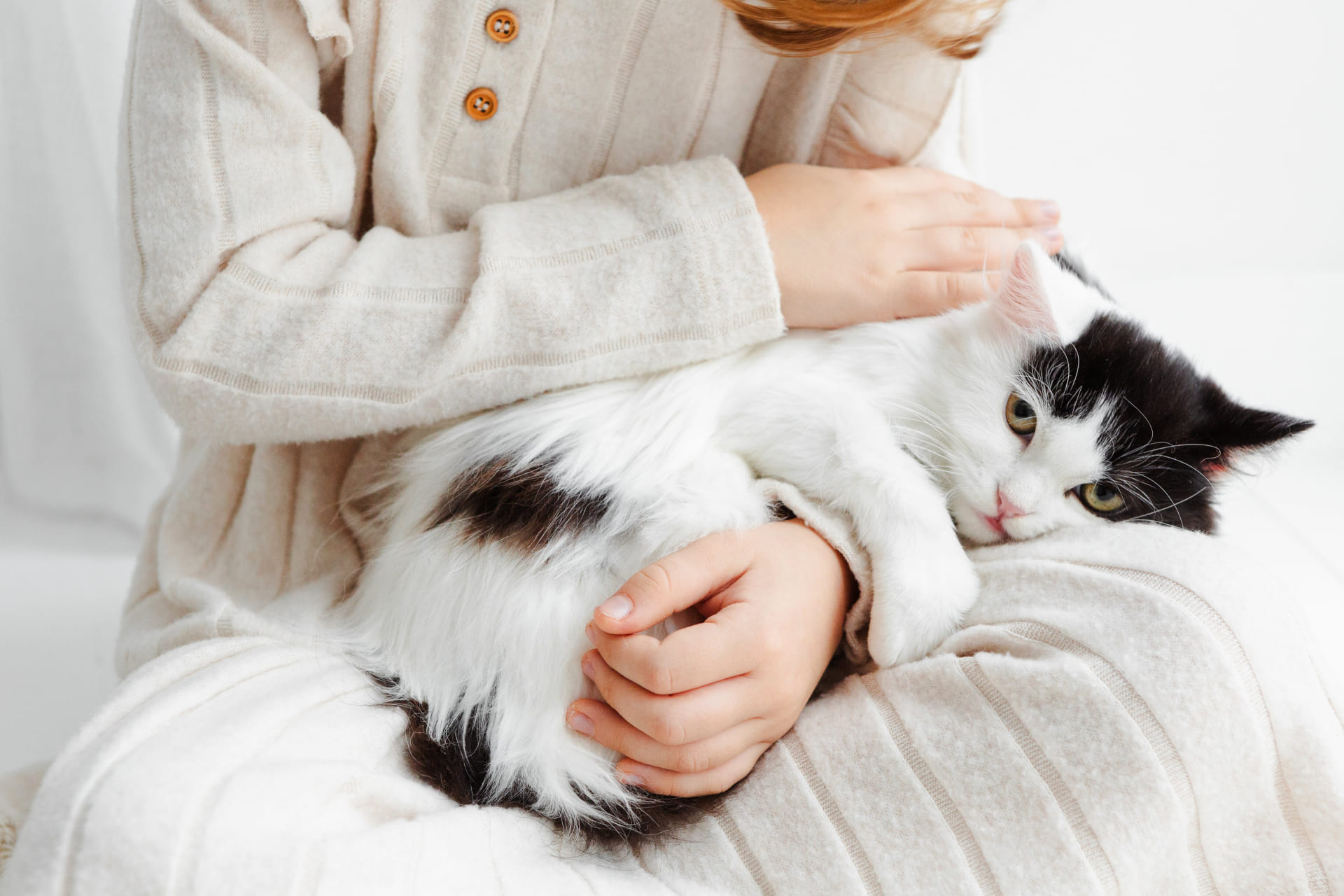 人懐っこい子猫に育てる方法｜信頼関係が深まる習慣とは